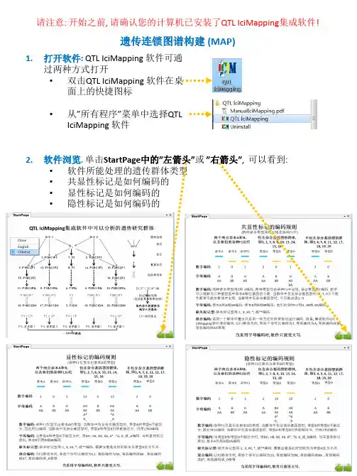 (仅供参考)Icimapping  连锁图中文操作说明