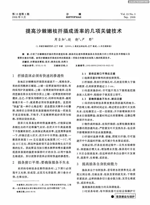 提高沙棘嫩枝扦插成活率的几项关键技术