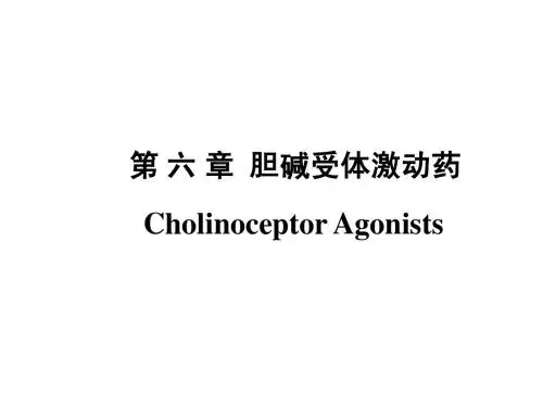 第六章 胆碱受体激动药