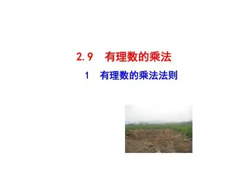 七年级数学上册有理数的乘法法则(华师大版)最新版