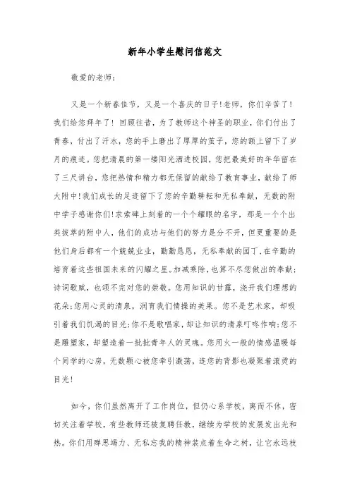 新年小学生慰问信范文（2篇）