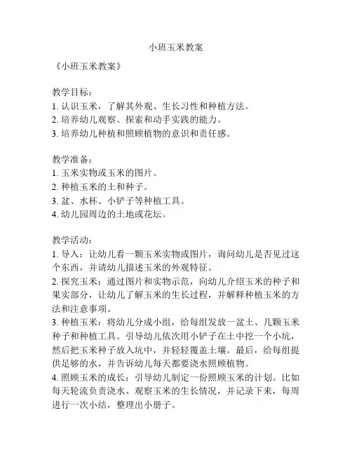 小班玉米教案
