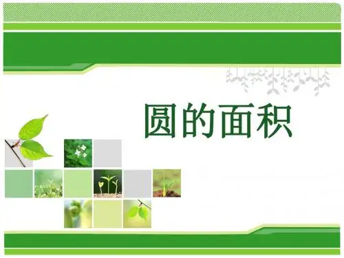 圆的面积说课稿