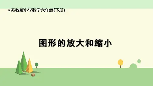 苏教版数学六年级下册  图形的放大和缩小