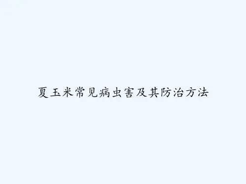 夏玉米常见病虫害及其防治方法 PPT