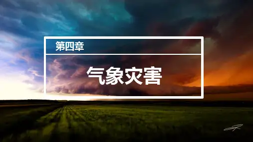 6.1气象灾害课件高中地理人教版必修一