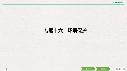 高考地理二轮复习课件专题十六环境保护(42张)