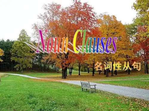 名词性从句