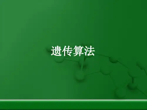 遗传算法_精品文档