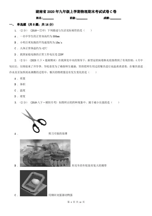 湖南省2020年九年级上学期物理期末考试试卷C卷(新版)