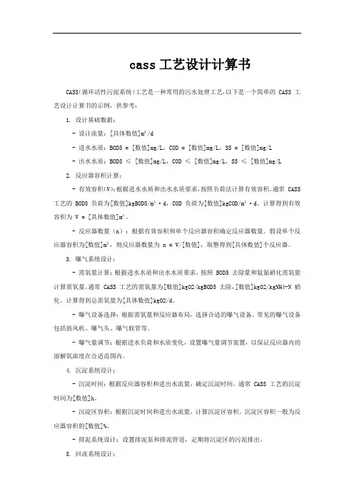 cass工艺设计计算书