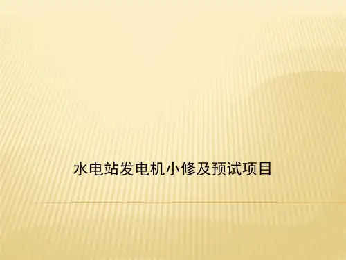 水电站发电机小修及预试项目