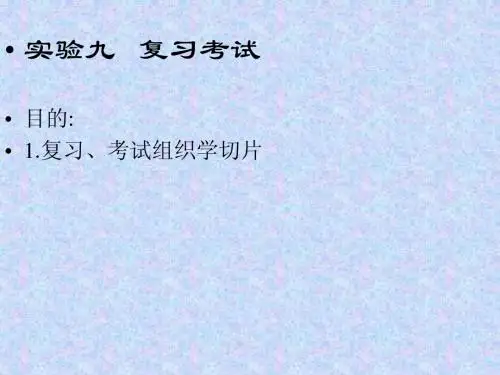 病理切片考试复习