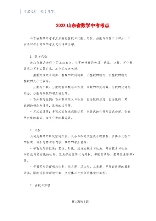 202X山东省数学中考考点