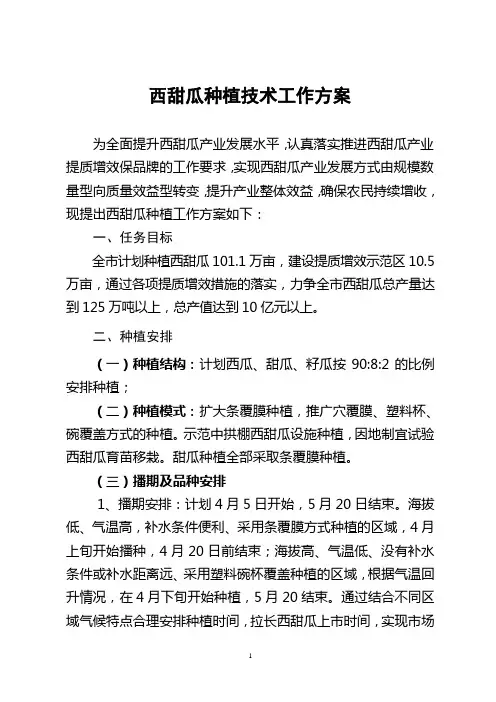 西甜瓜种植技术工作方案