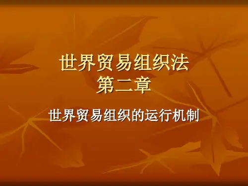 世贸组织第二章