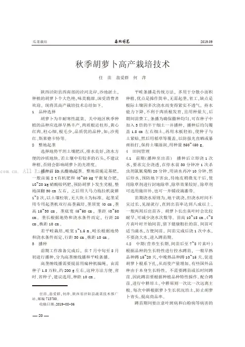 秋季胡萝卜高产栽培技术