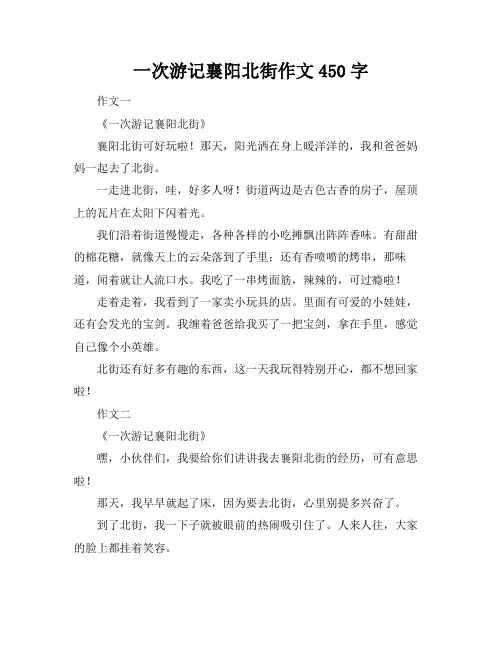 一次游记襄阳北街作文450字