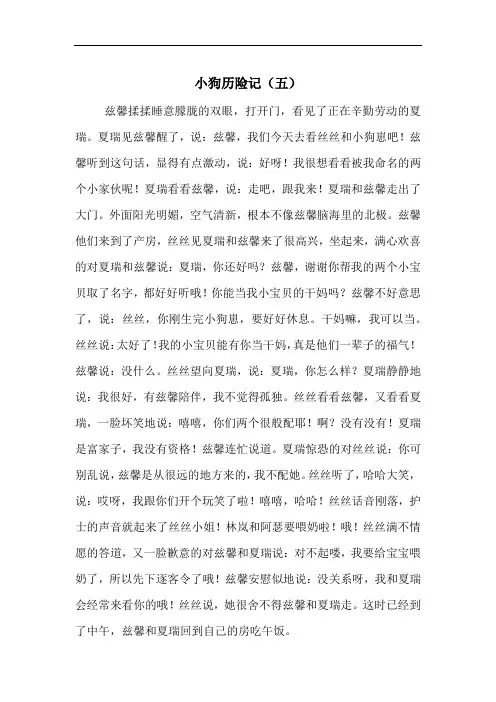 小狗历险记(五)