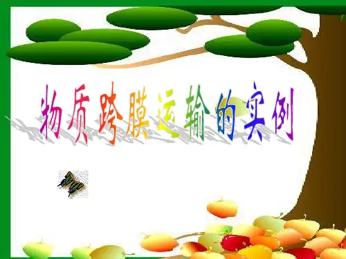 生物必修Ⅰ人教新课标4-1物质跨膜运输的实例课件(33张)