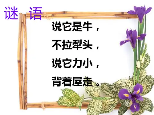 三年级语文上册-蜗牛-1-语文S版PPT课件