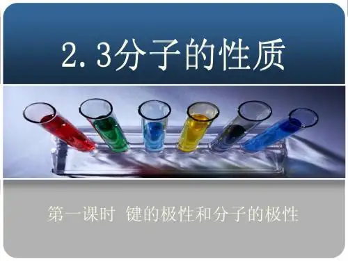 《分子的性质》前两课时精品课件