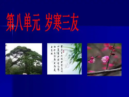 岁寒三友