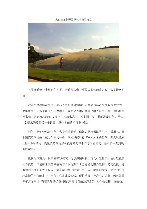 HDPE土工膜应用——什么是黑膜沼气池