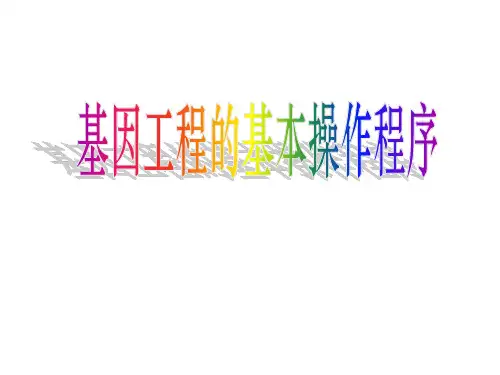 基因工程的基本操作程序主要包括四个基本步骤