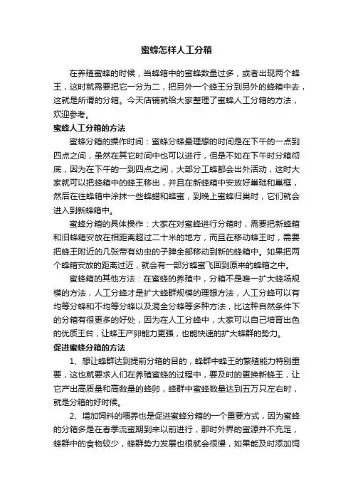 蜜蜂怎样人工分箱