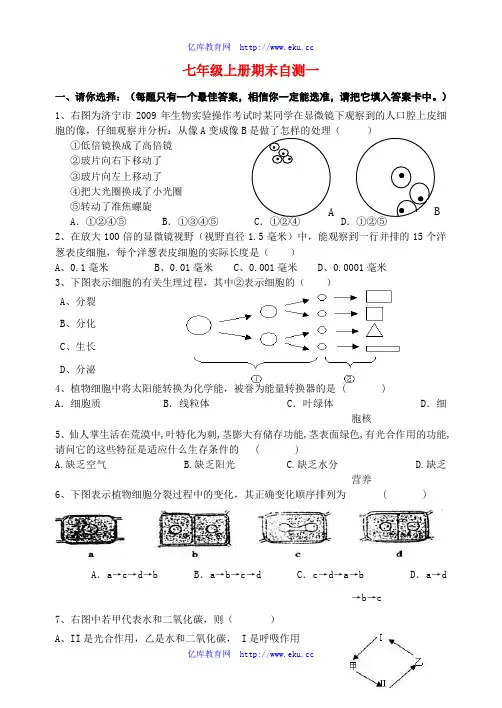 七年级生物上册期末试题(一)济南版