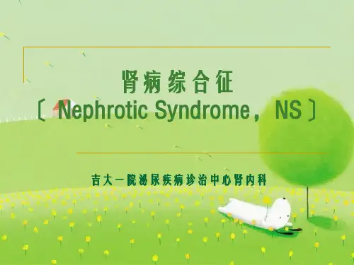 《肾病综合症》幻灯片PPT