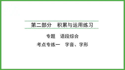 2024年福建省中考语文练习  专题  考点专练1 字音、字形   课件(共36张PPT)