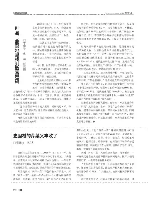 叶县：韭菜地里找到致富密码