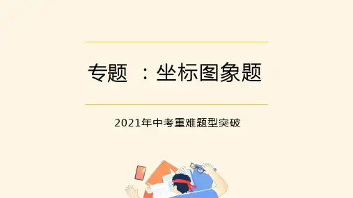 初中人教版初三九年级化学 专题：坐标图像题 名师教学PPT课件