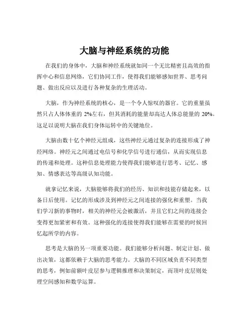 大脑与神经系统的功能