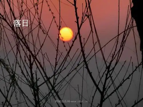 20《 落日的幻觉》课件八年级语文上册 新人教版