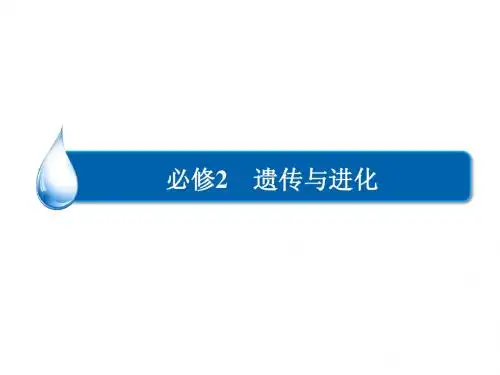 2015届《金版教程》高考生物一轮复习考能专项突破课件：第七单元 生物变异、育种和进化