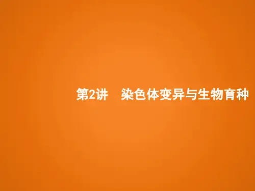 高考一轮复习人教版染色体变异与生物育种课件