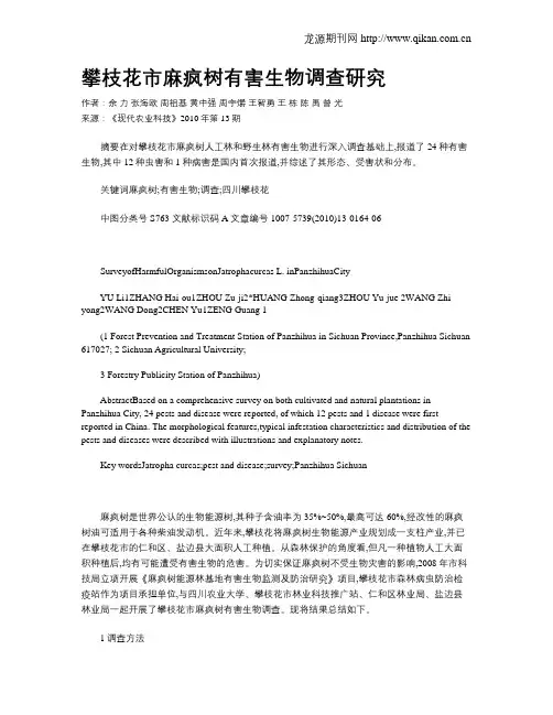 攀枝花市麻疯树有害生物调查研究