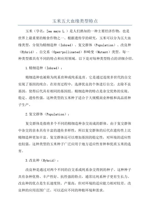 玉米五大血缘类型特点