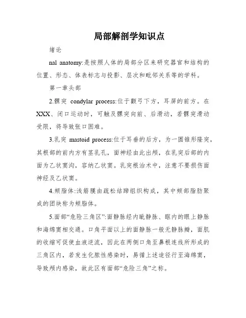 局部解剖学知识点