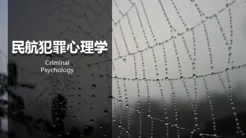 民航犯罪心理学第一章(研究对象及方法)