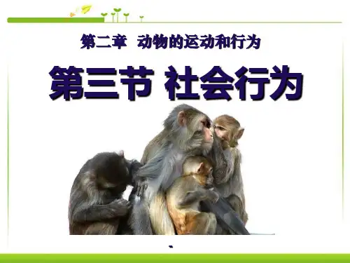 社会行为(一)-PPT课件 