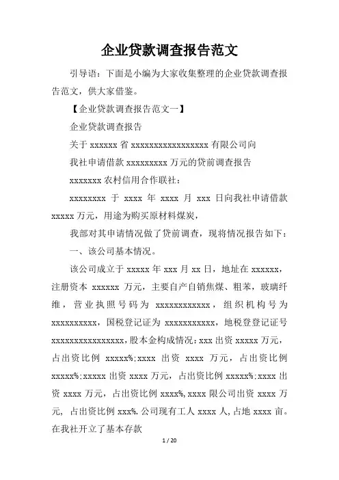 企业贷款调查报告范文