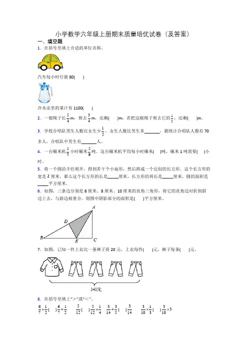 小学数学六年级上册期末质量培优试卷(及答案)