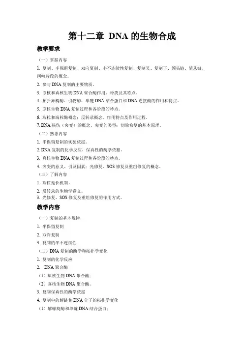 生物化学与分子生物学课件-第十二章-DNA的生物合成