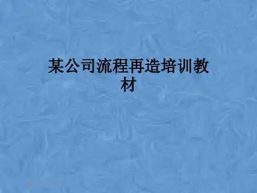 某公司流程再造培训教材