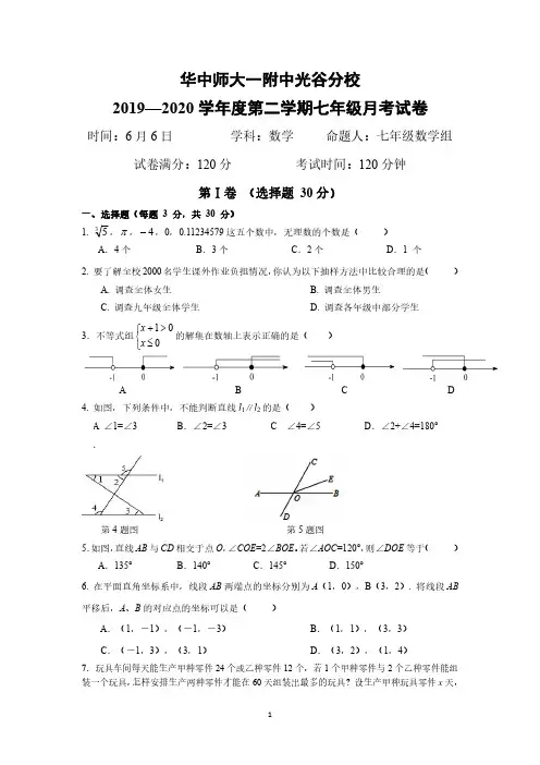 6.6 月考七年级数学试卷