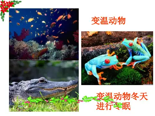 生物：2.1.2《人体的稳态》课件(苏教版必修3)26页PPT